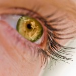 eye