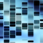 dna_fingerprint_4 dna_fingerprint_4
