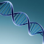 DNA