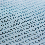 dna sequenza