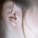 ear
