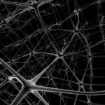 neuroni