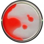 petri1