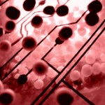 proteine