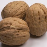 noci noci