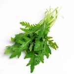 rucola