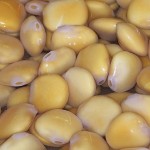 lupini lupini
