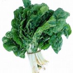spinaci