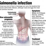 Salmonella antibioticoresistente
