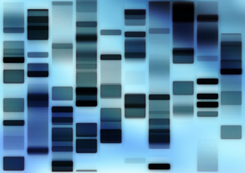 dna_fingerprint_4