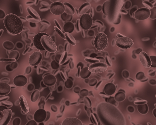 cellule_sangue