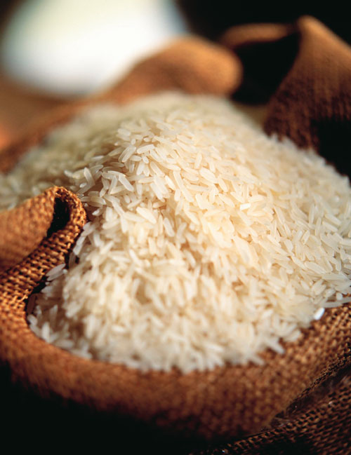 Italia leader nell'esportazione del riso