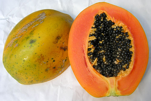 papaya