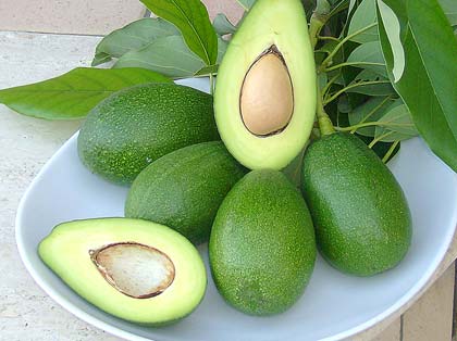 Le sorprendenti proprietà dell'avocado