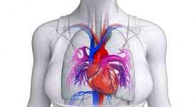 cuore ingrossato significa perché