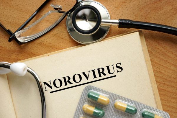 Norovirus sei cose sapere